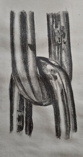 Chain Pencil Study 2